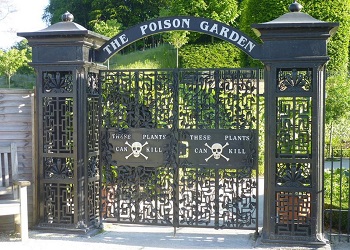 Alnwick Poison Garden.(Slate)