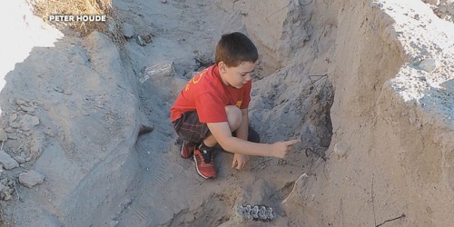 Lokasi fosil langka ditemukan.(abcnews)