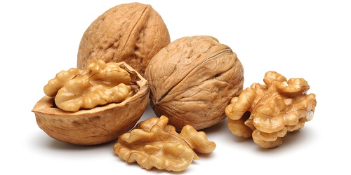Kacang walnut.(bbs)