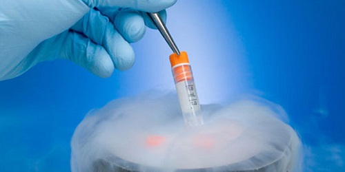 Frozen Embryo Transfer (FET).(Zee News)