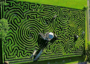 gambar: Longleat Hedge Maze dilihat dari atas.(turisti.co.uk)