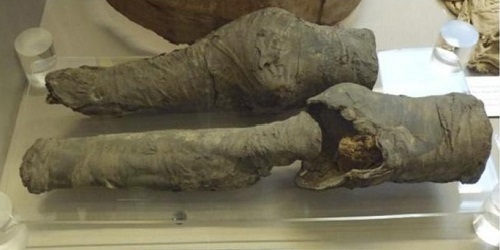 Kaki mumi yang kemungkinan milik Ratu Nefertari.(National Geographic)