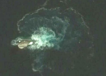 Benda yang diduga monster laut, tertangkap kamera Google Earth.(newsth)