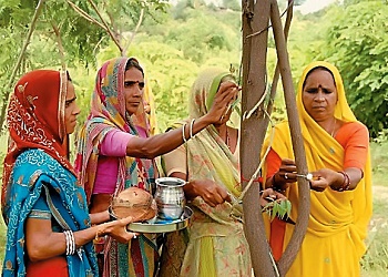 Tradisi tanam 111 pohon di Desa Piplantri, Rajasthan, India.(bbs)