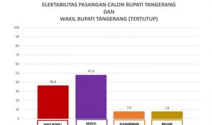 Hasil Survei