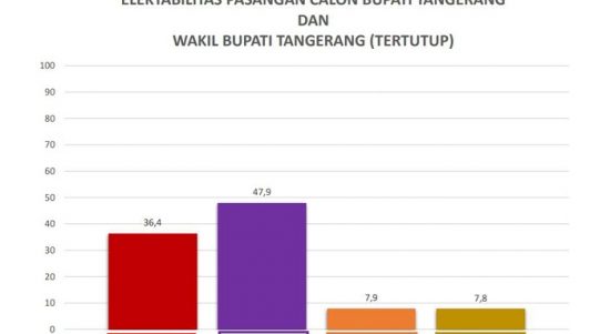 Hasil Survei