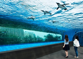 Sunshine Aquarium, Tokyo.(lonelyplanet)