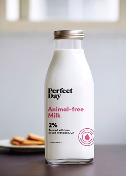 Perfect Day, susu sintesis.(Odditycentral)