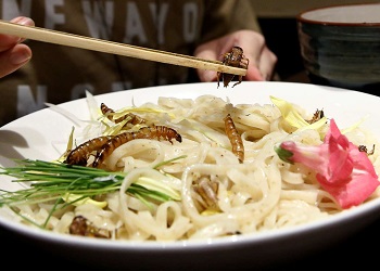 Insect Tsukemen.(The Straits Times)