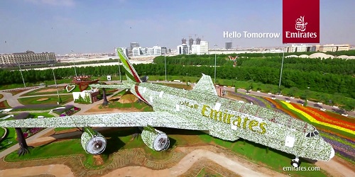 Jutaan bunga membentuk pesawat Emirates.(WowKeren)