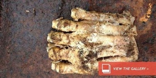 Tulang jari kaki misterius.(viva.co.id)