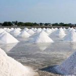 Perkara impor garam industri