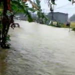 Jalan Raya Citereup-Cibaliung Terputus Akibat Banjir