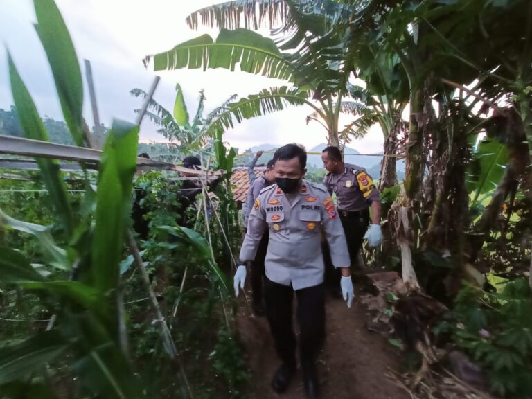 Jenazah SU dievakuasi ke Puskesmas Ciomas dan dilakukan pemeriksaan oleh tim Forensik RS Bhayangkara Polda Banten
